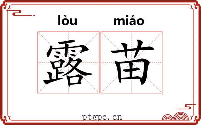 露苗 露苗