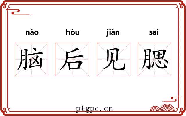 脑后见腮