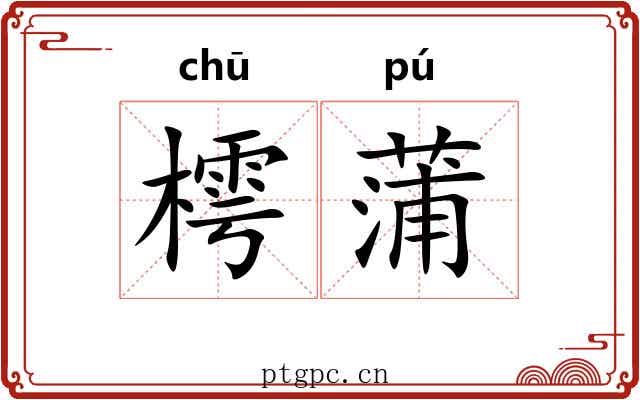 樗蒲
