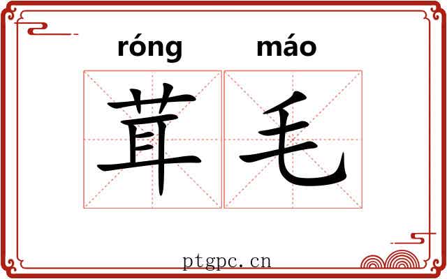 茸毛 茸毛