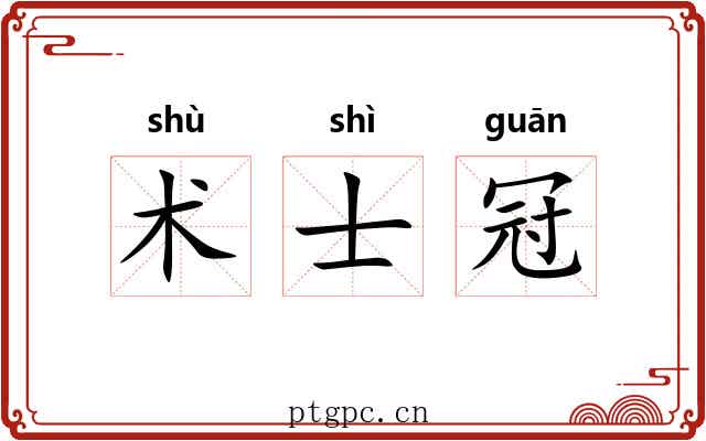 术士冠