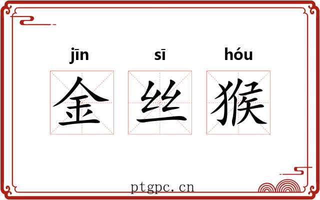 金丝猴 金丝猴