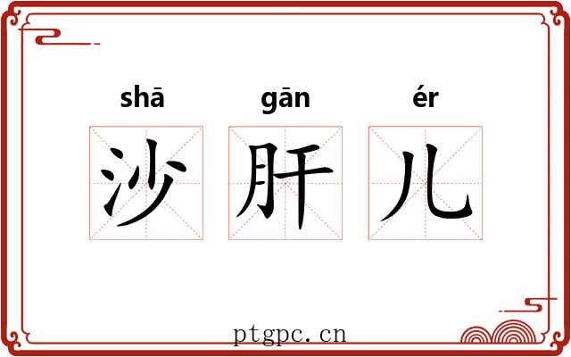 沙肝儿