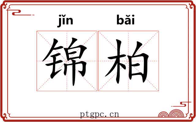 锦柏