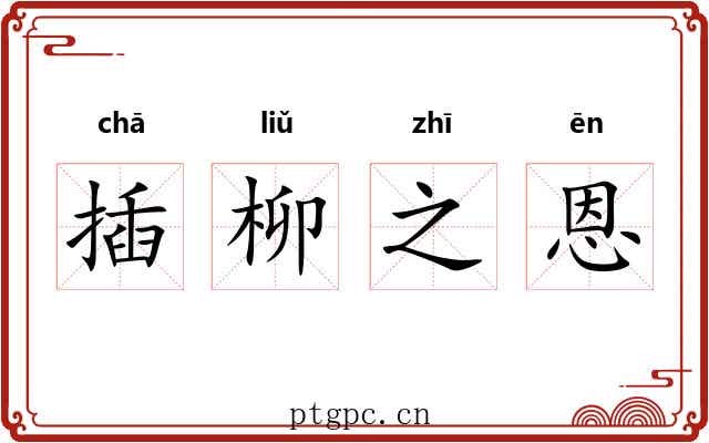 插柳之恩 插柳之恩