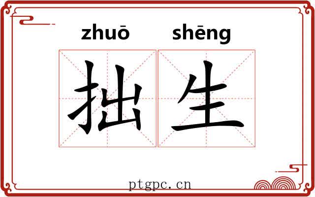 拙生