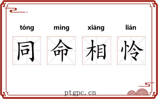 同命相怜 同命相怜