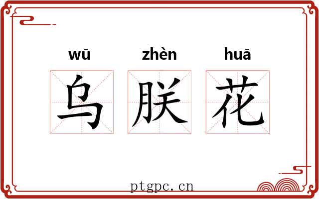 乌朕花