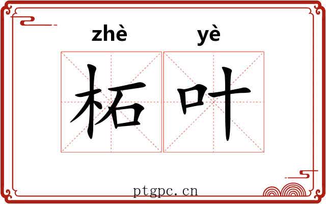 柘叶