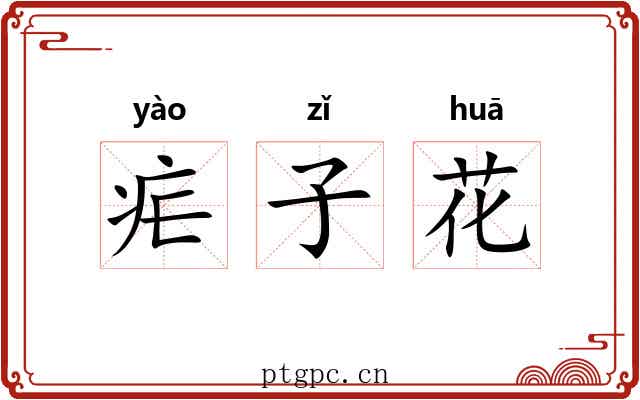 疟子花