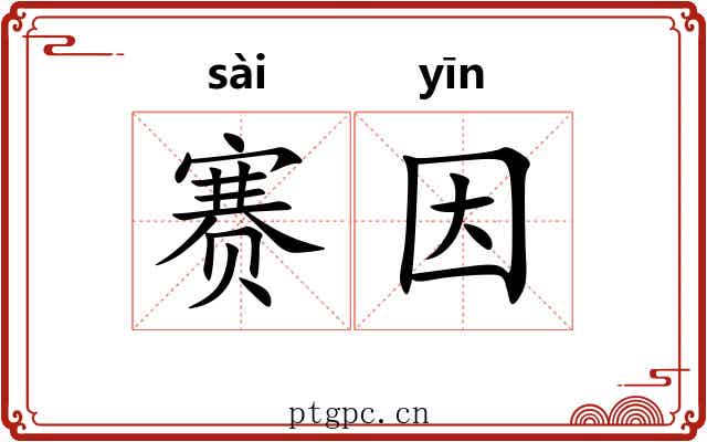 赛因