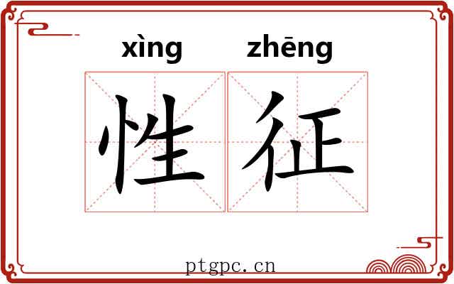 性征 性征