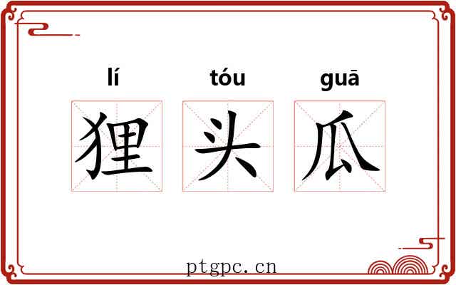 狸头瓜