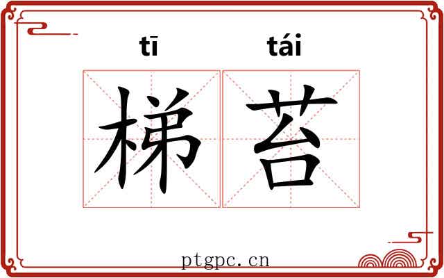 梯苔