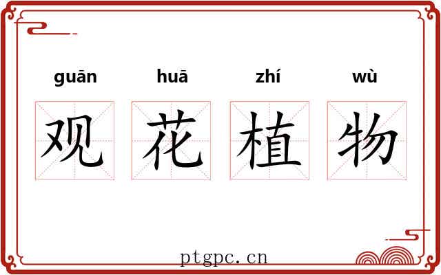 观花植物