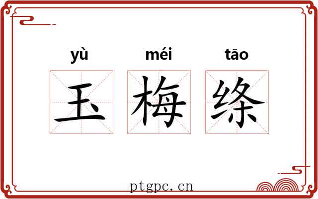 玉梅绦