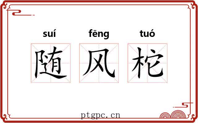 随风柁