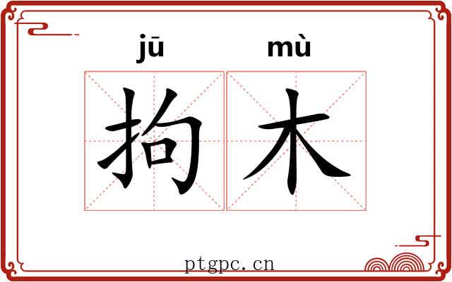 拘木