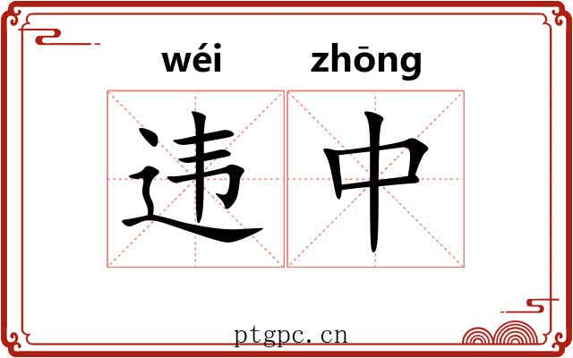 违中