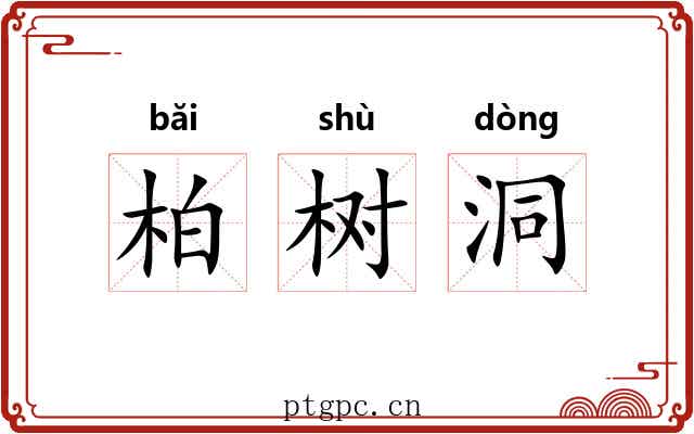 柏树洞 柏树洞
