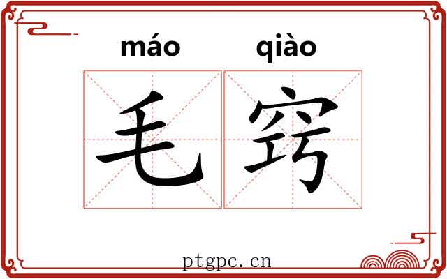 毛窍