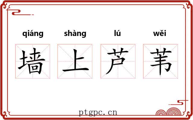 墙上芦苇 墙上芦苇