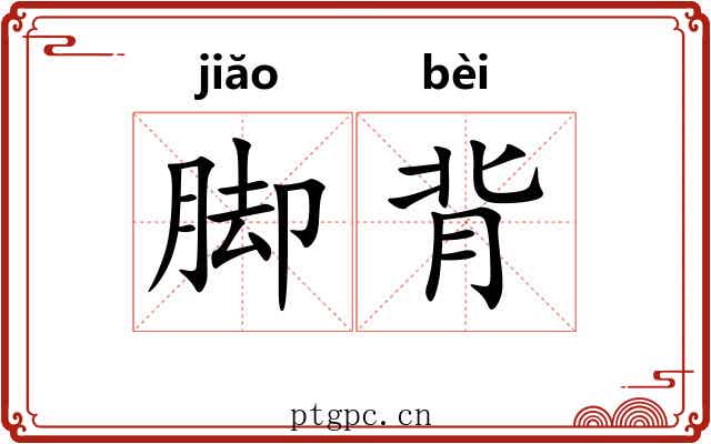 脚背 脚背