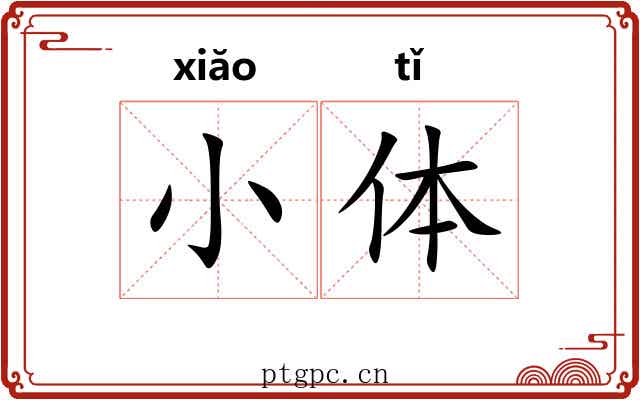 小体 小体