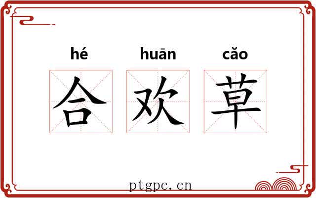合欢草