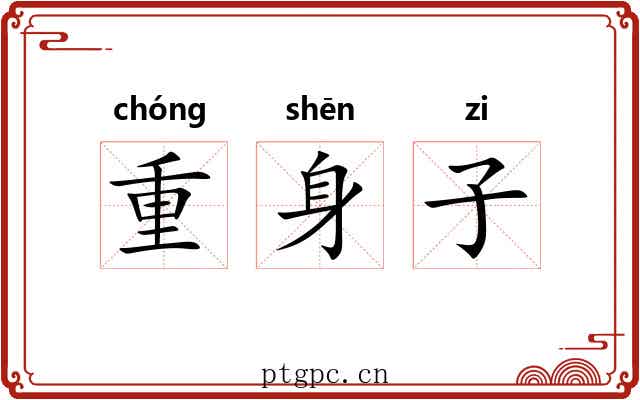 重身子 重身子
