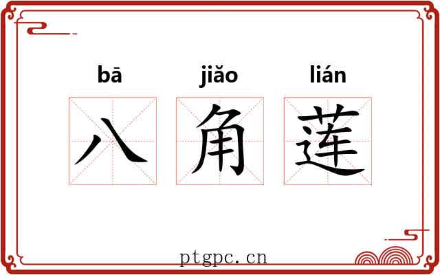 八角莲