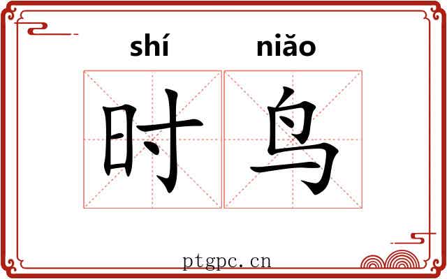 时鸟