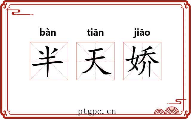 半天娇