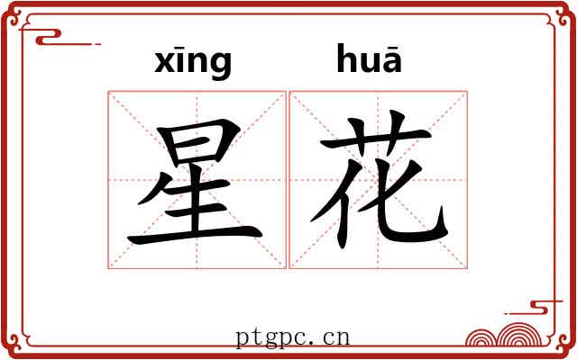 星花 星花