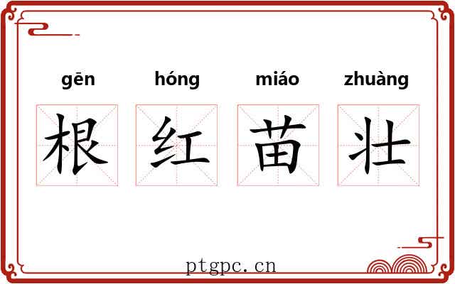 根红苗壮