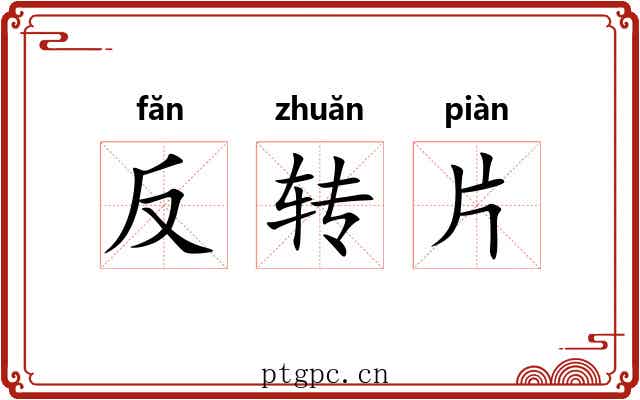 反转片