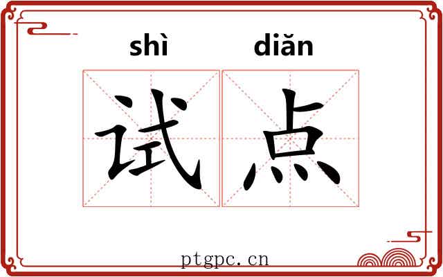 试点