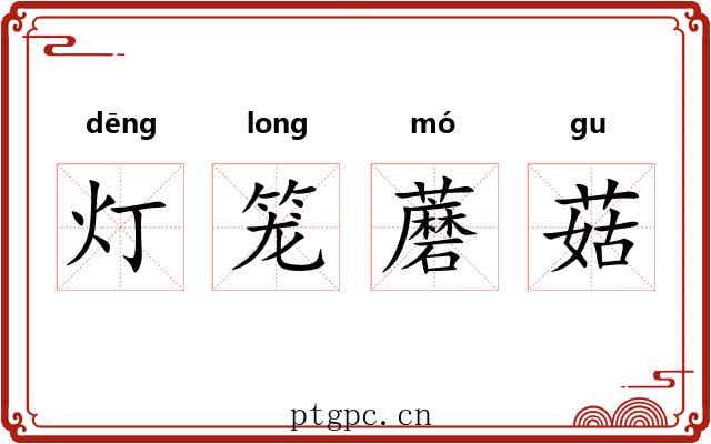 灯笼蘑菇 灯笼蘑菇