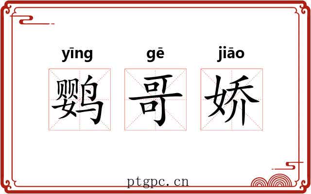 鹦哥娇 鹦哥娇