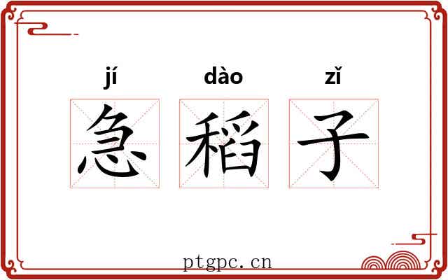 急稻子