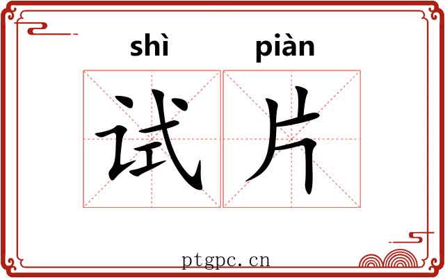 试片
