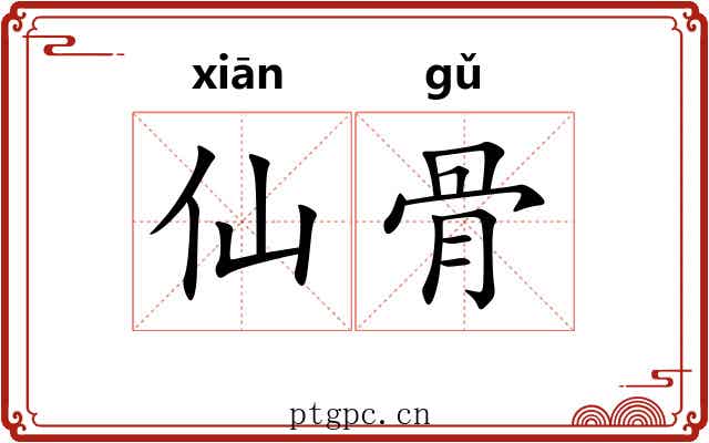 仙骨