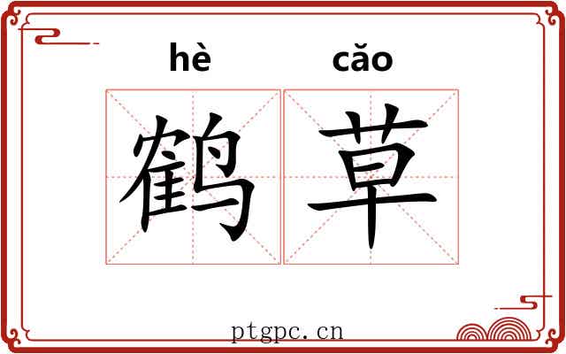 鹤草