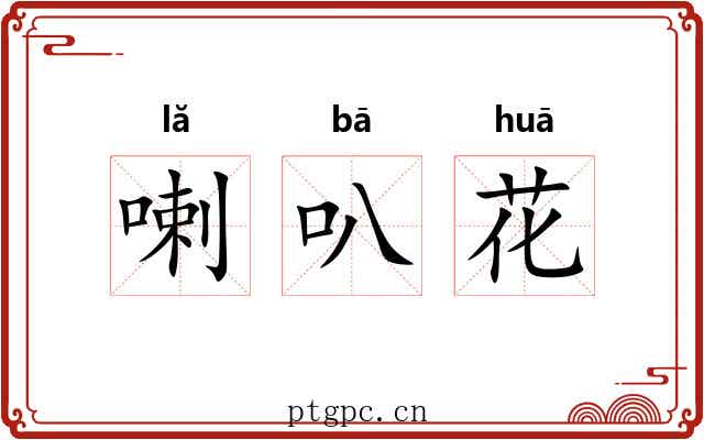 喇叭花 喇叭花