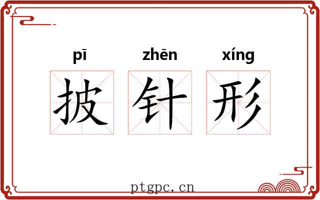 披针形 披针形