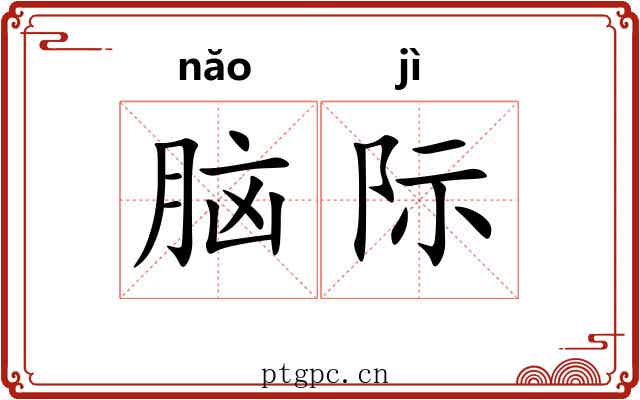 脑际 脑际