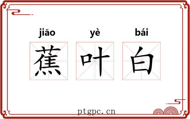 蕉叶白 蕉叶白
