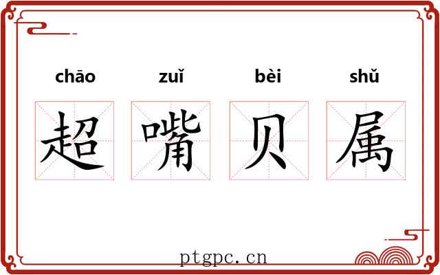 超嘴贝属 超嘴贝属
