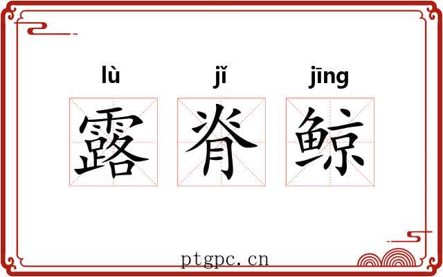 露脊鲸