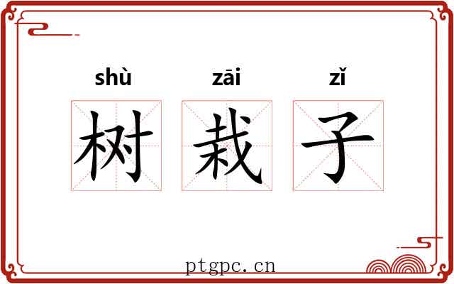 树栽子 树栽子